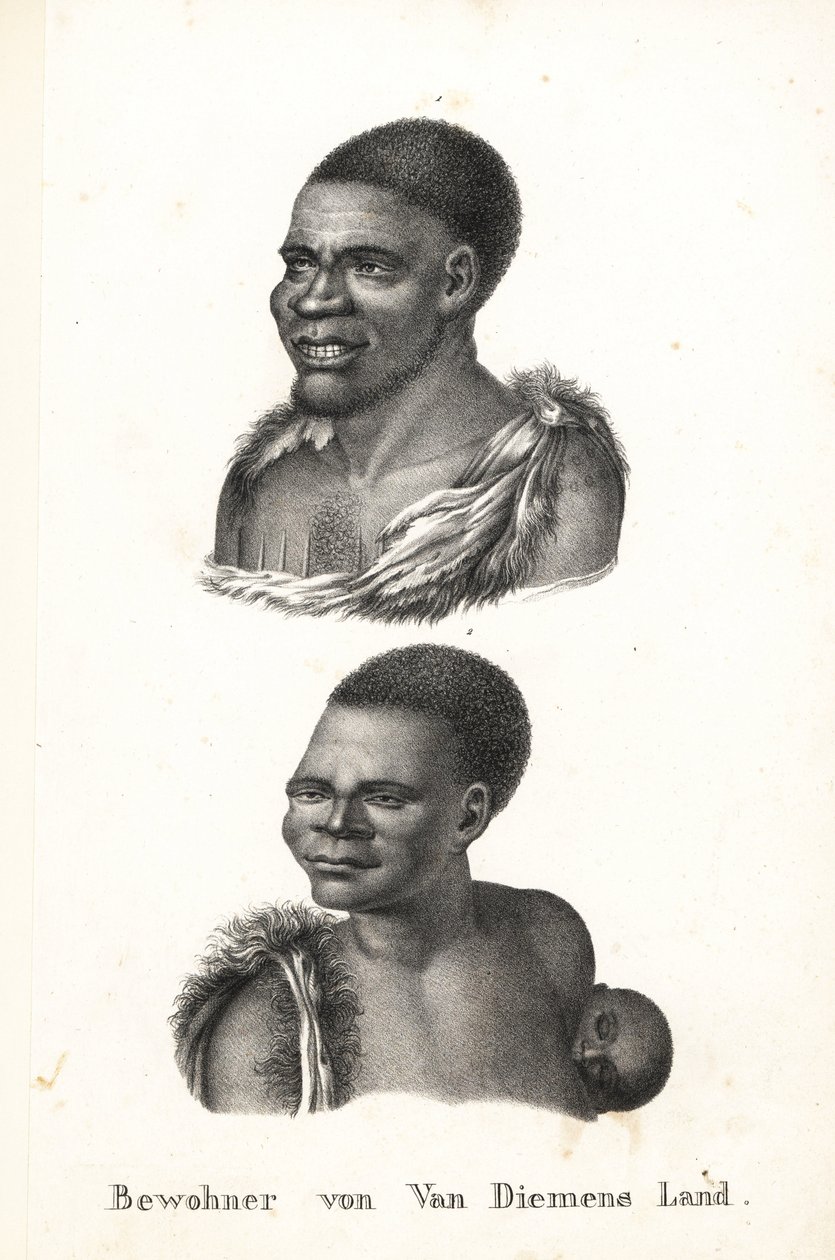 Natifs de Tasmanie, Terre de Van Diemen. Grou Aagara, homme avec ...