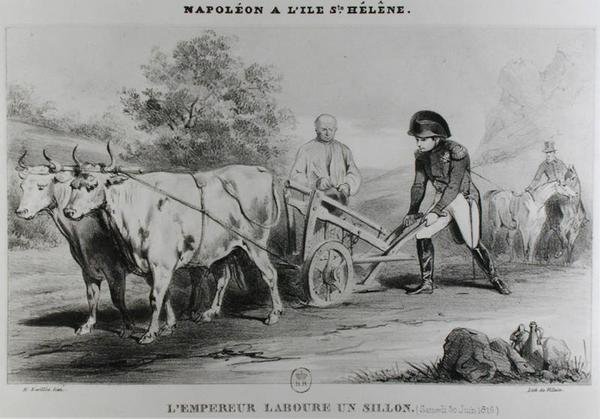 Napoléon (1769-1821) à Sainte-Hélène, gravé par François le Villain - Karl after Loeillot Hartwig