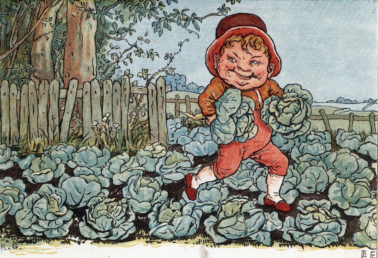 Un gnome vole des choux dans un potager. Illustration de Kate Greenaway (1846-1901) du livre de contes et comptines pour enfants « Under The Window » (1879), édité par Edmund Evans - Kate Greenaway