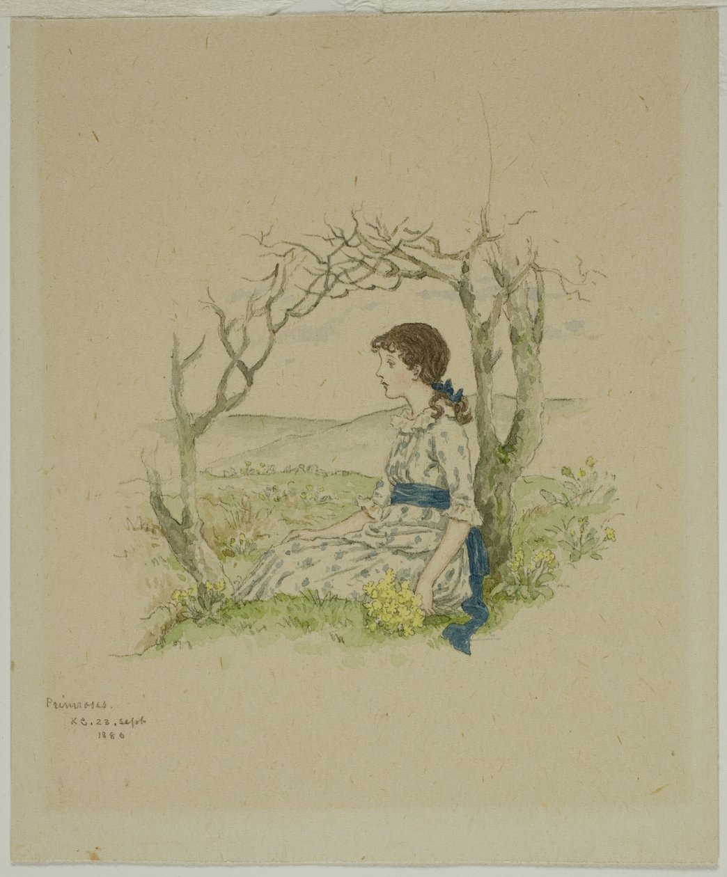 Fille assise avec des primevères - Kate Greenaway
