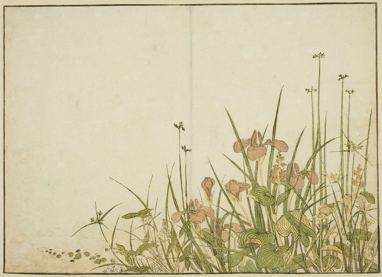 Fleurs d