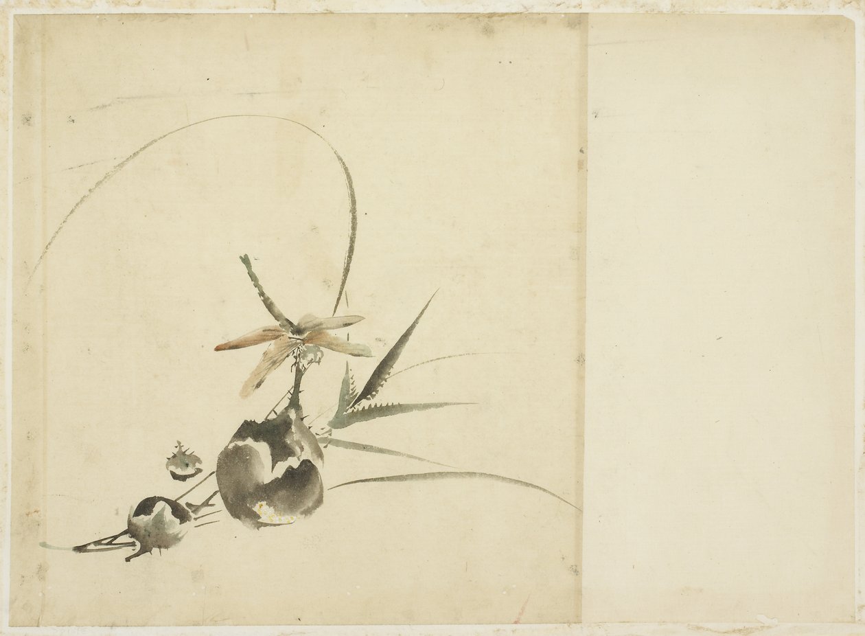 Branche de fruits avec libellule - Katsushika (school of) Hokusai