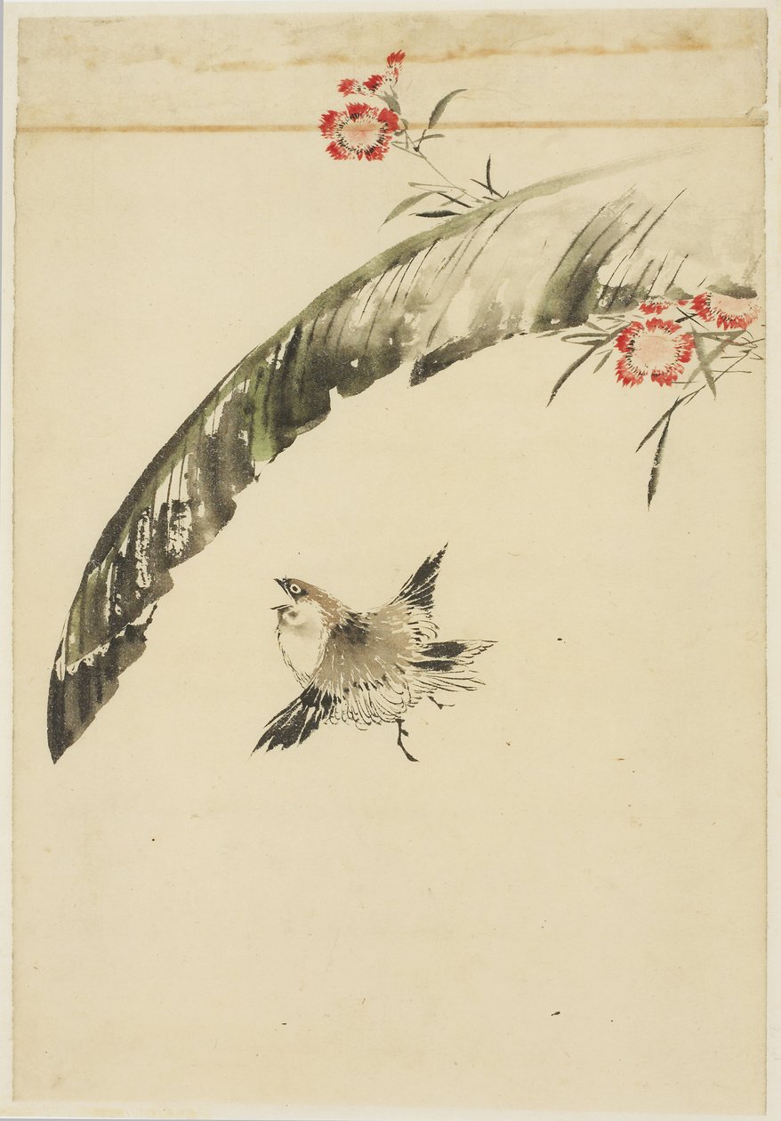 Moineau et feuille de bananier et œillets - Katsushika (school of) Hokusai