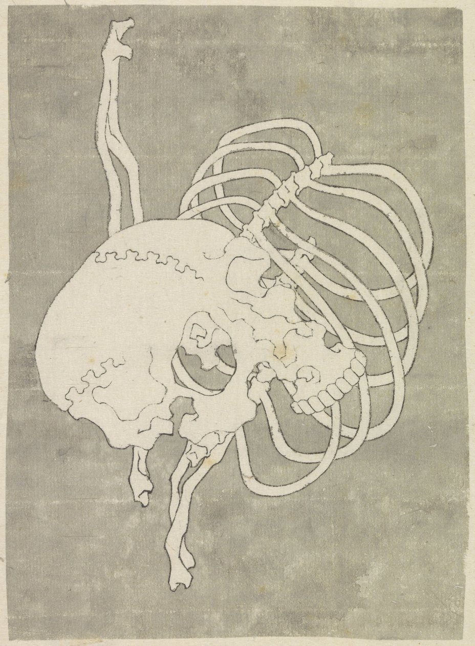 Crâne et cage thoracique - Katsushika Hokusai (possibly)