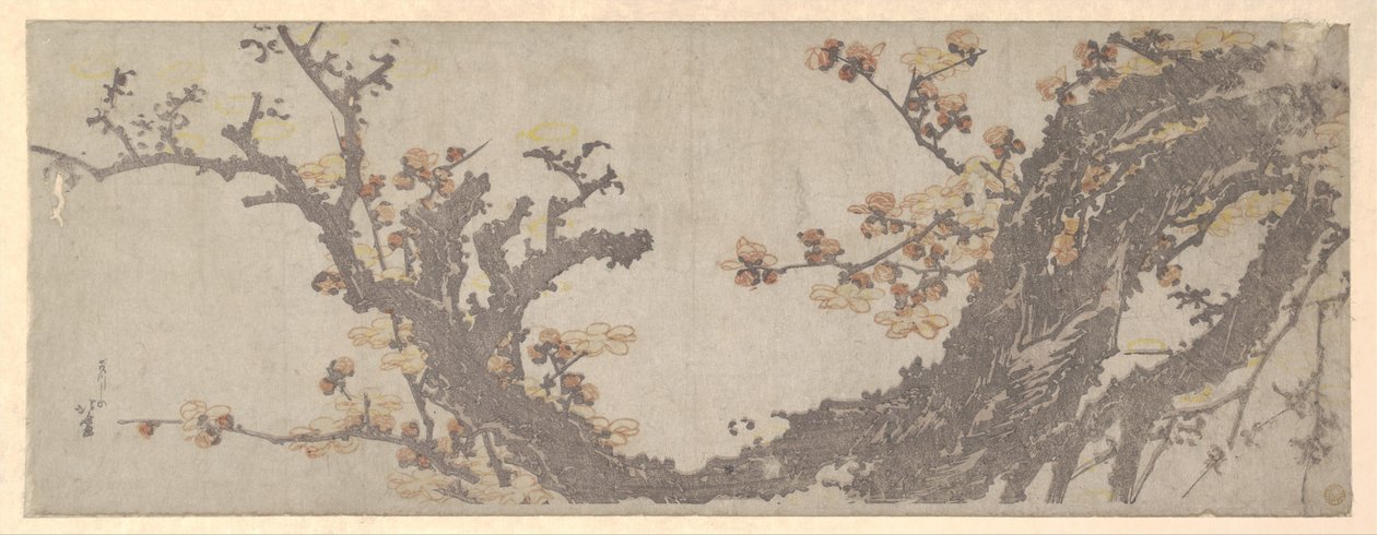 Un vieux prunier en fleurs - Katsushika Hokusai