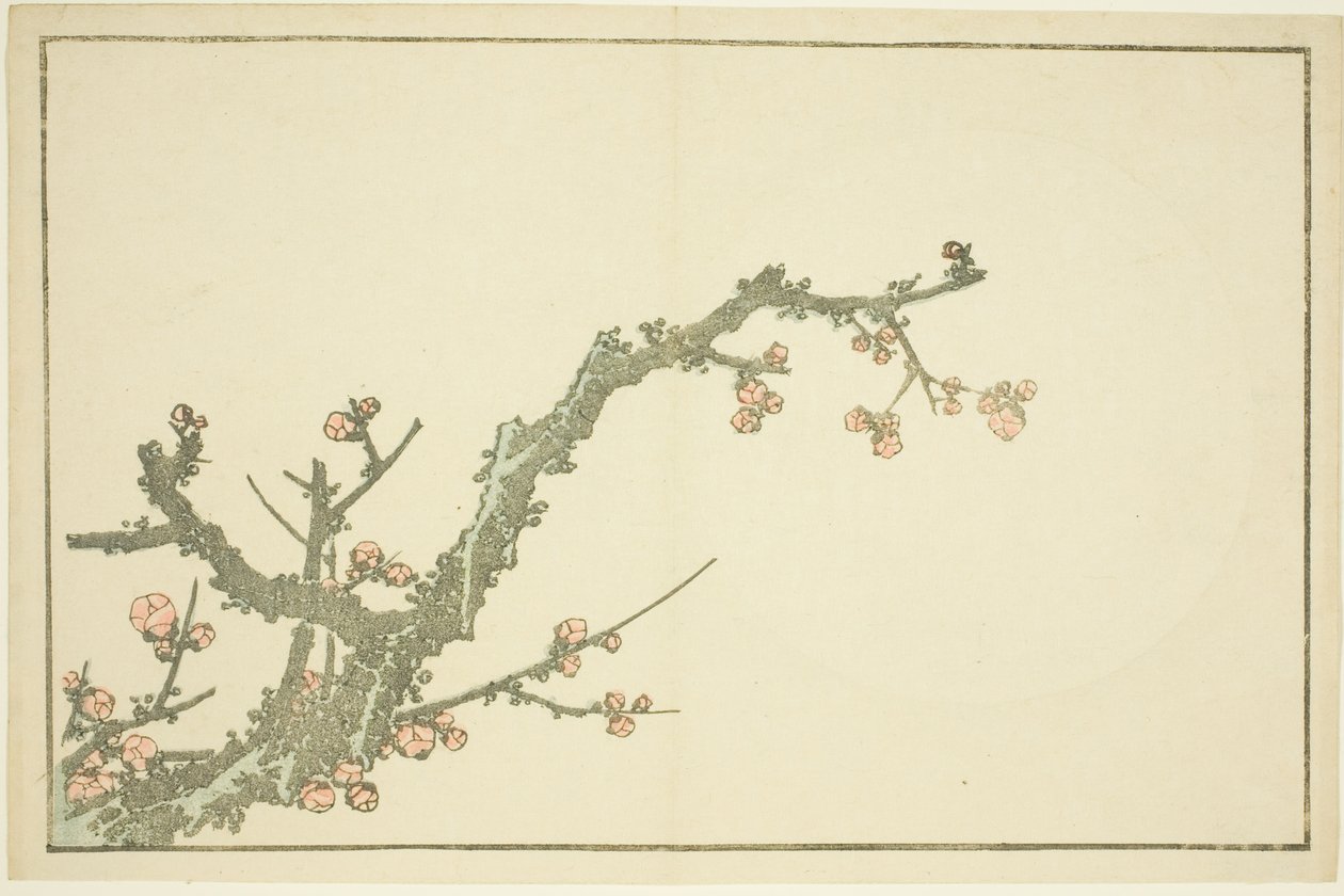 Prunier en fleurs, du Livre d