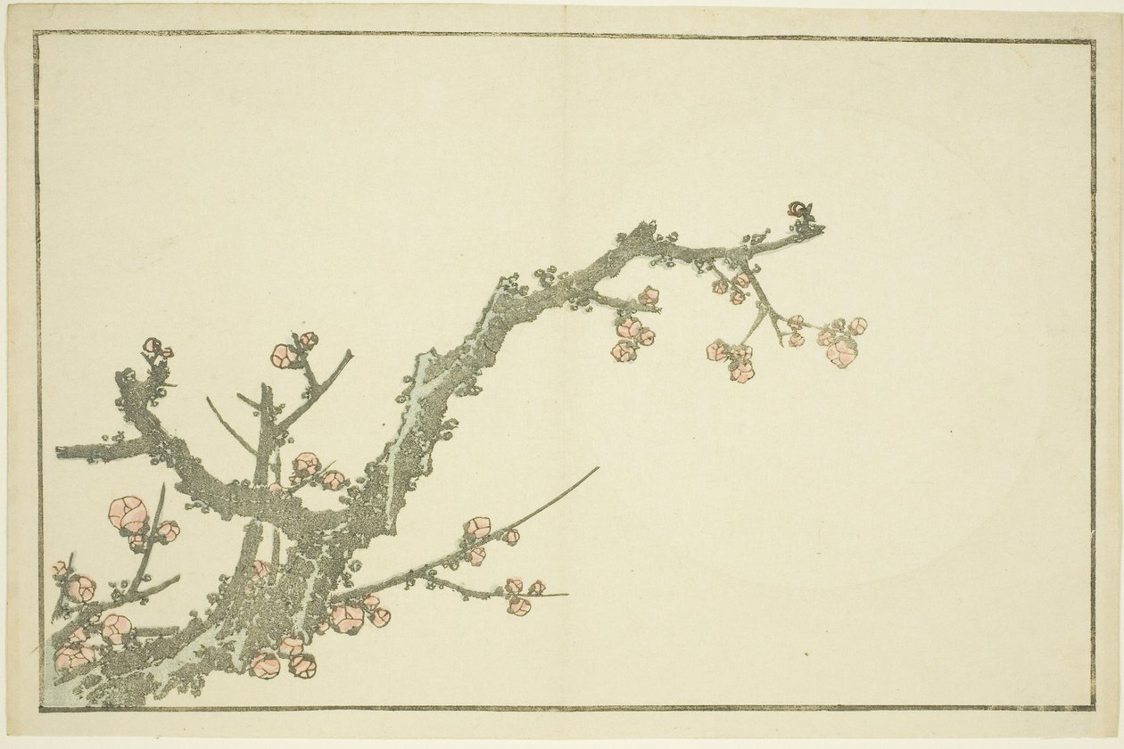 Prunier en fleurs, du Livre d