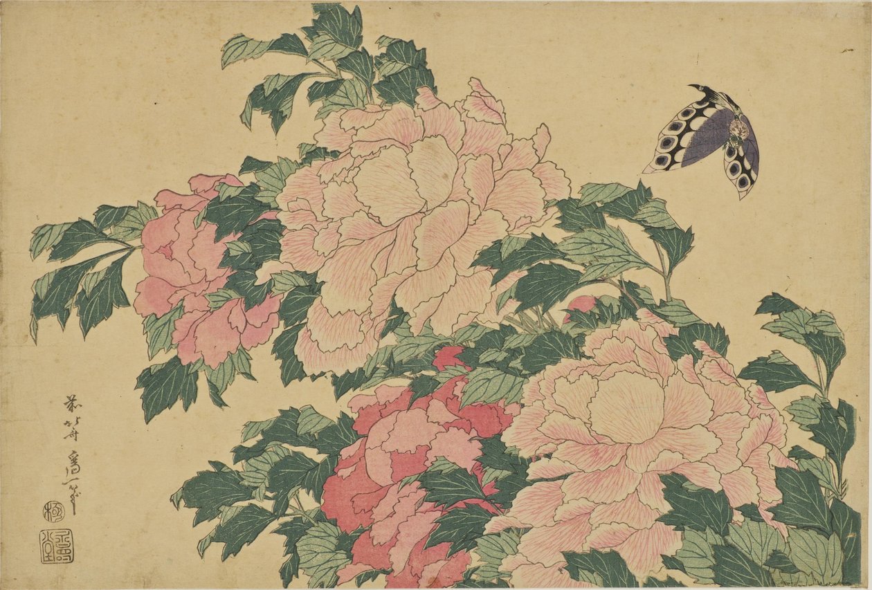Papillon et pivoines - Katsushika Hokusai