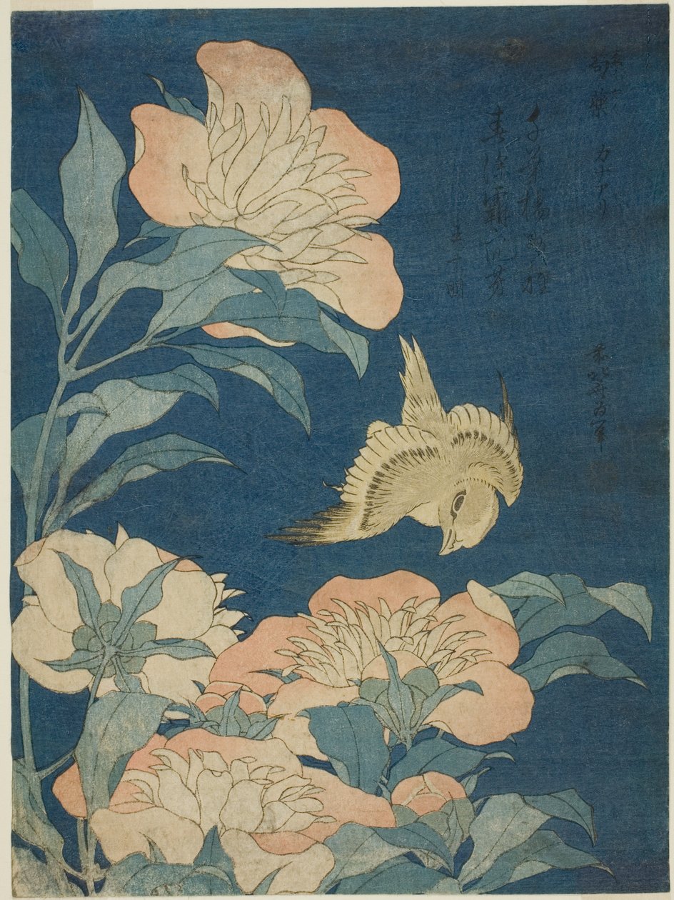 Canari et pivoine (Kanaari, shakuyaku), d