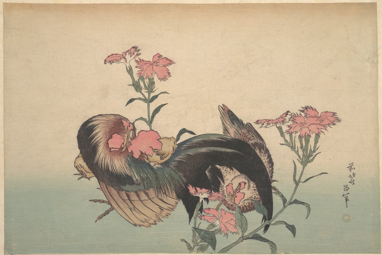 Coq, Poule et Nadeshiko (Dianthus Superbus) - Katsushika Hokusai