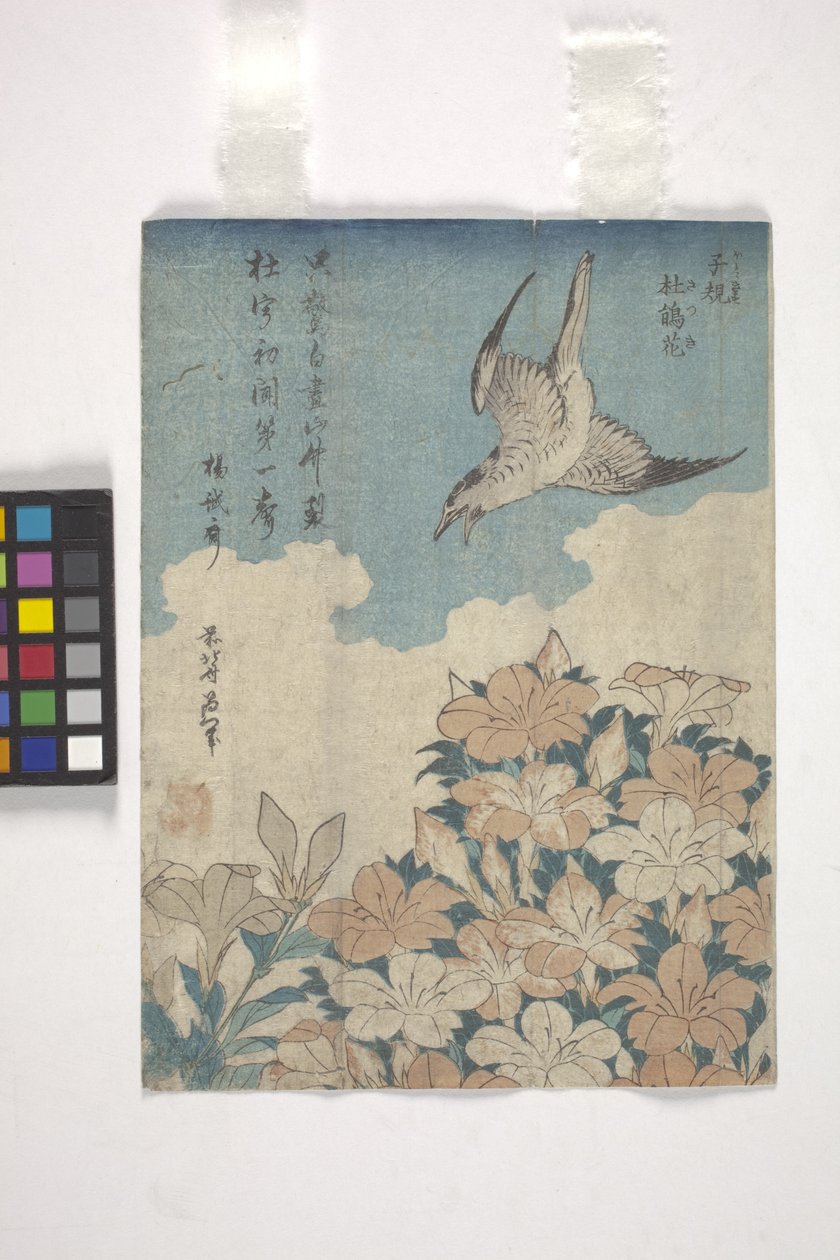 Coucou et azalée - Katsushika Hokusai