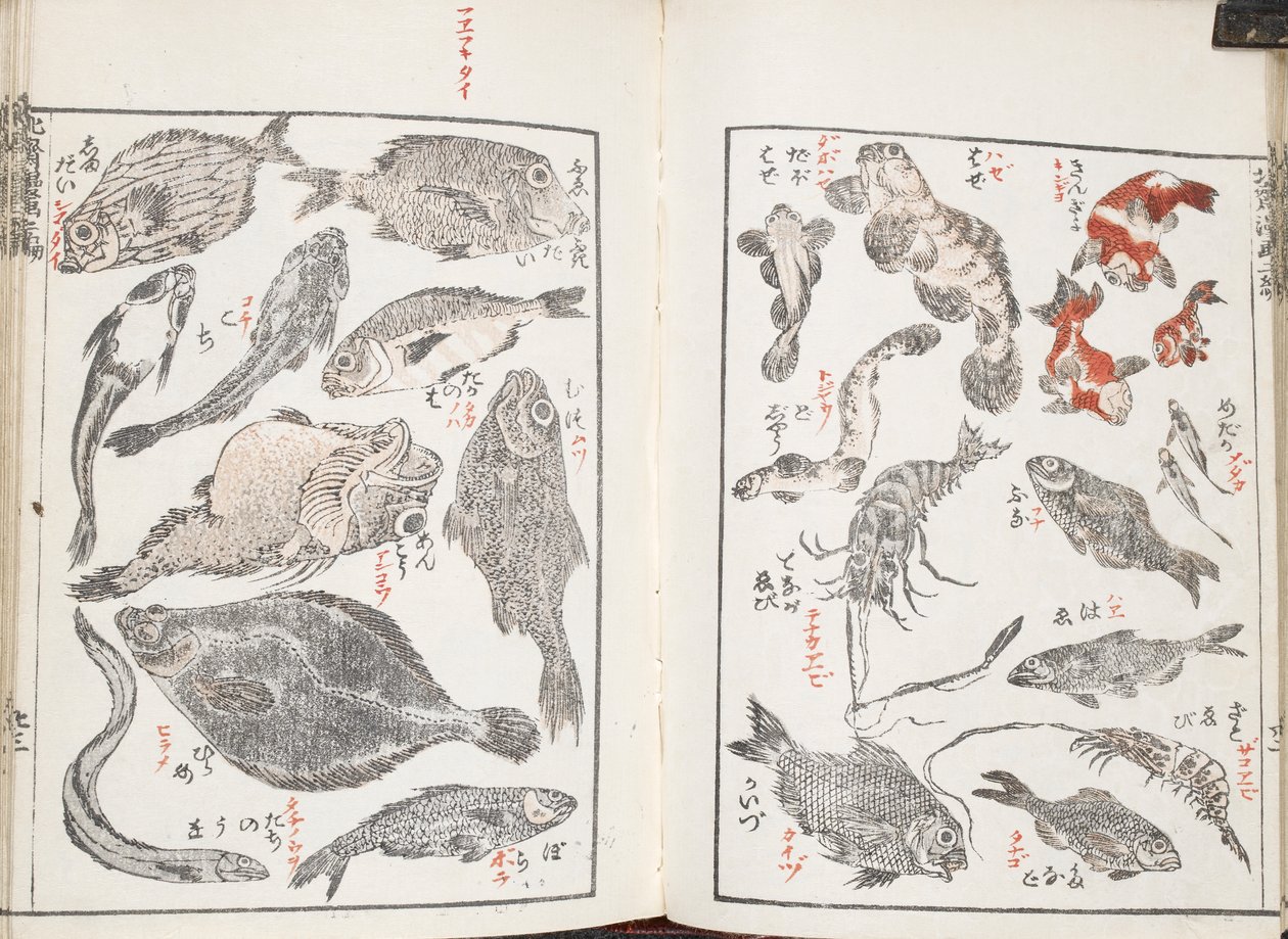 Poissons et créatures marines - Katsushika Hokusai
