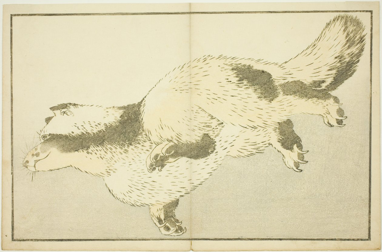 Renard, du Livre d