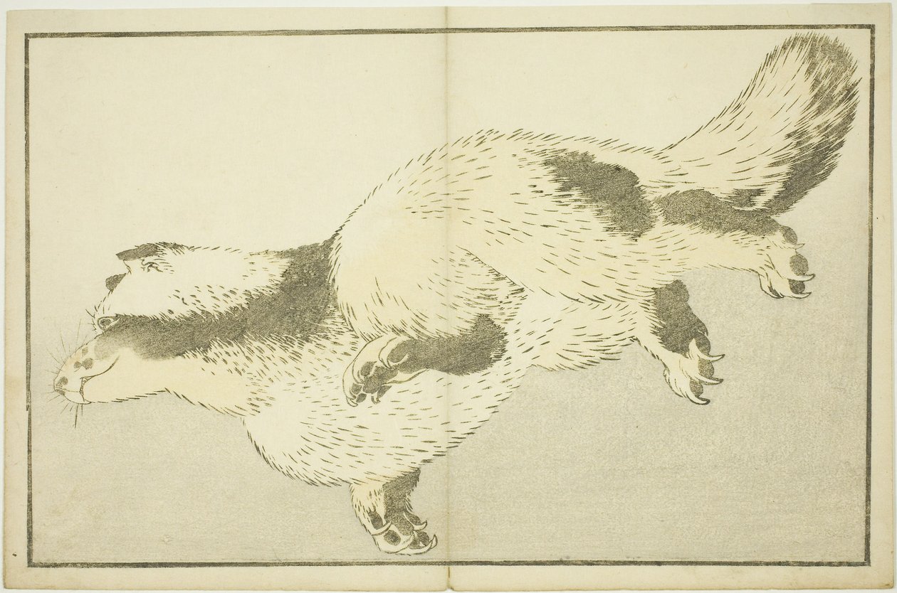 Renard, du Livre d