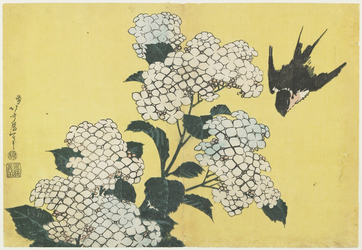 Hortensia et hirondelle, c. 1832 - Katsushika Hokusai