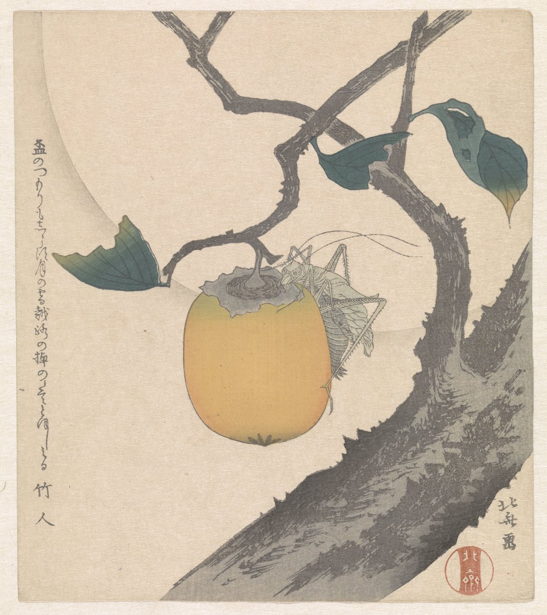 Fruit de kaki avec sauterelle - Katsushika Hokusai