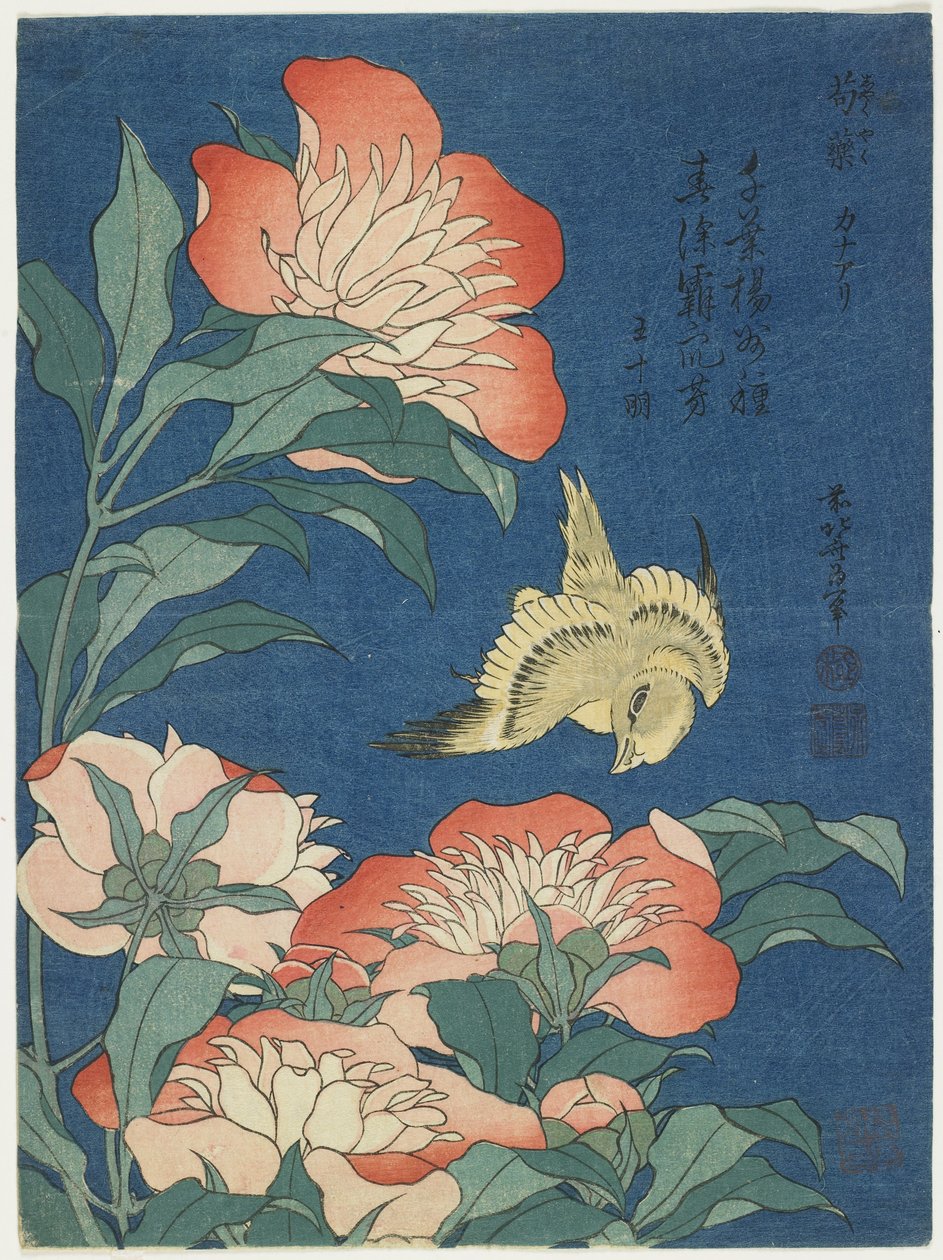 Pivoines et canari, vers 1833 - Katsushika Hokusai