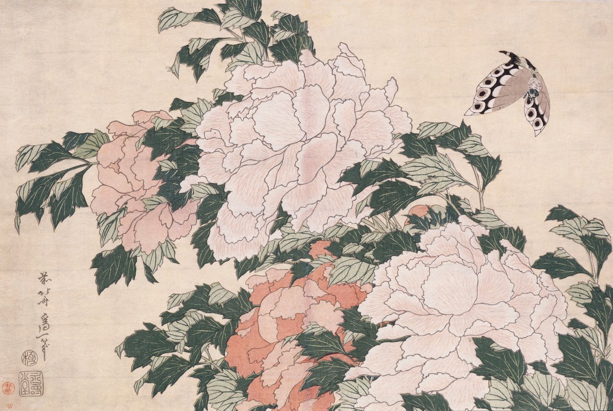 Pivoines roses et rouges soufflées à gauche dans une brise et un papillon - Katsushika Hokusai
