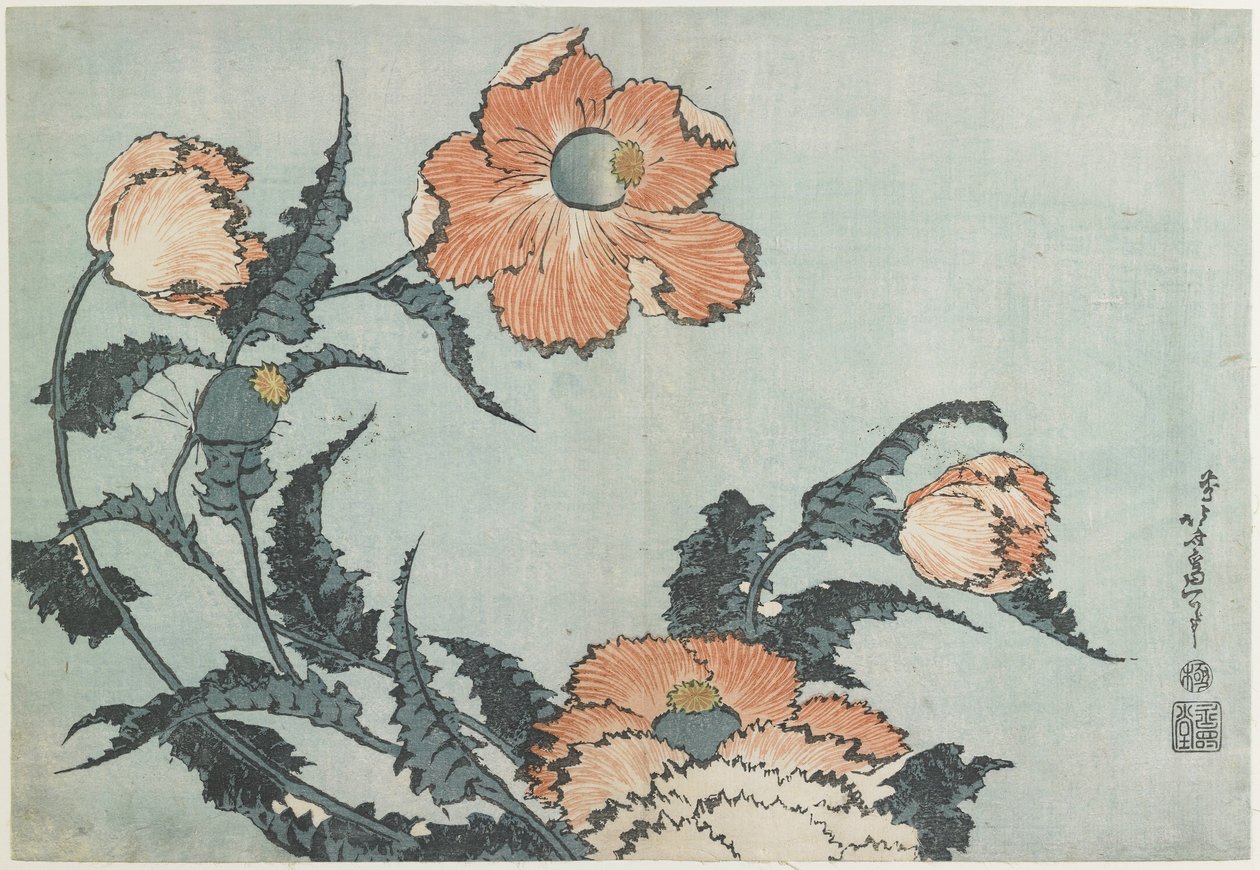 Coquelicots, vers 1832 - Katsushika Hokusai