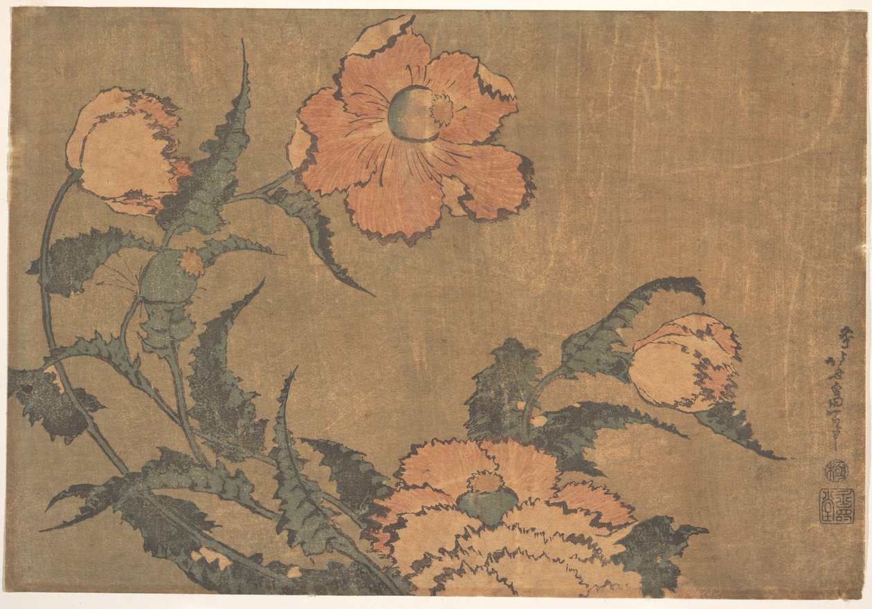 Des coquelicots au gré du vent - Katsushika Hokusai