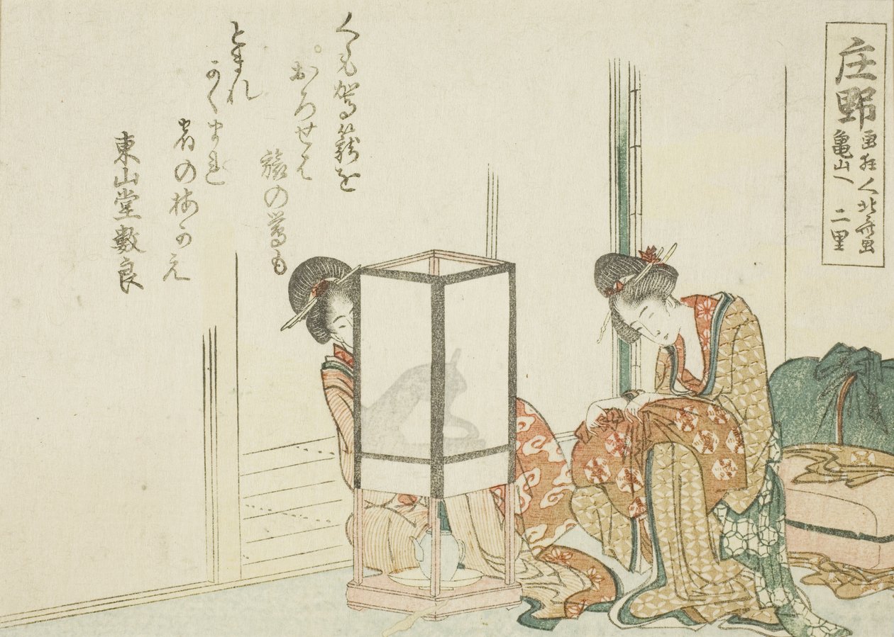Shono, d