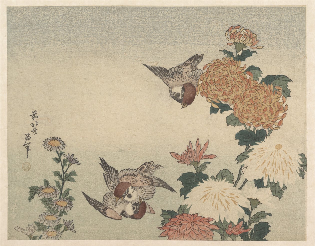 Moineaux et chrysanthèmes - Katsushika Hokusai