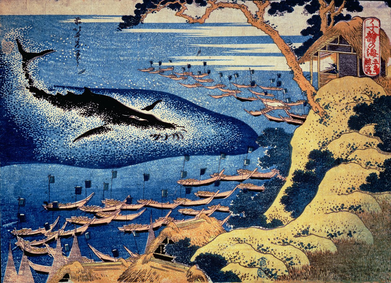 Chasse à la baleine au large de l