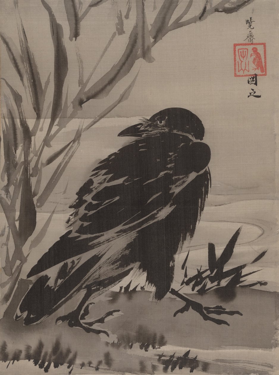 Corbeau et roseaux près d