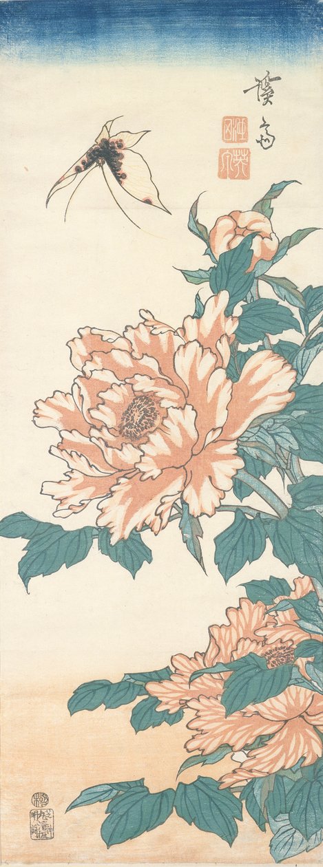 Papillon et pivoine arbustive - Keisai Eisen