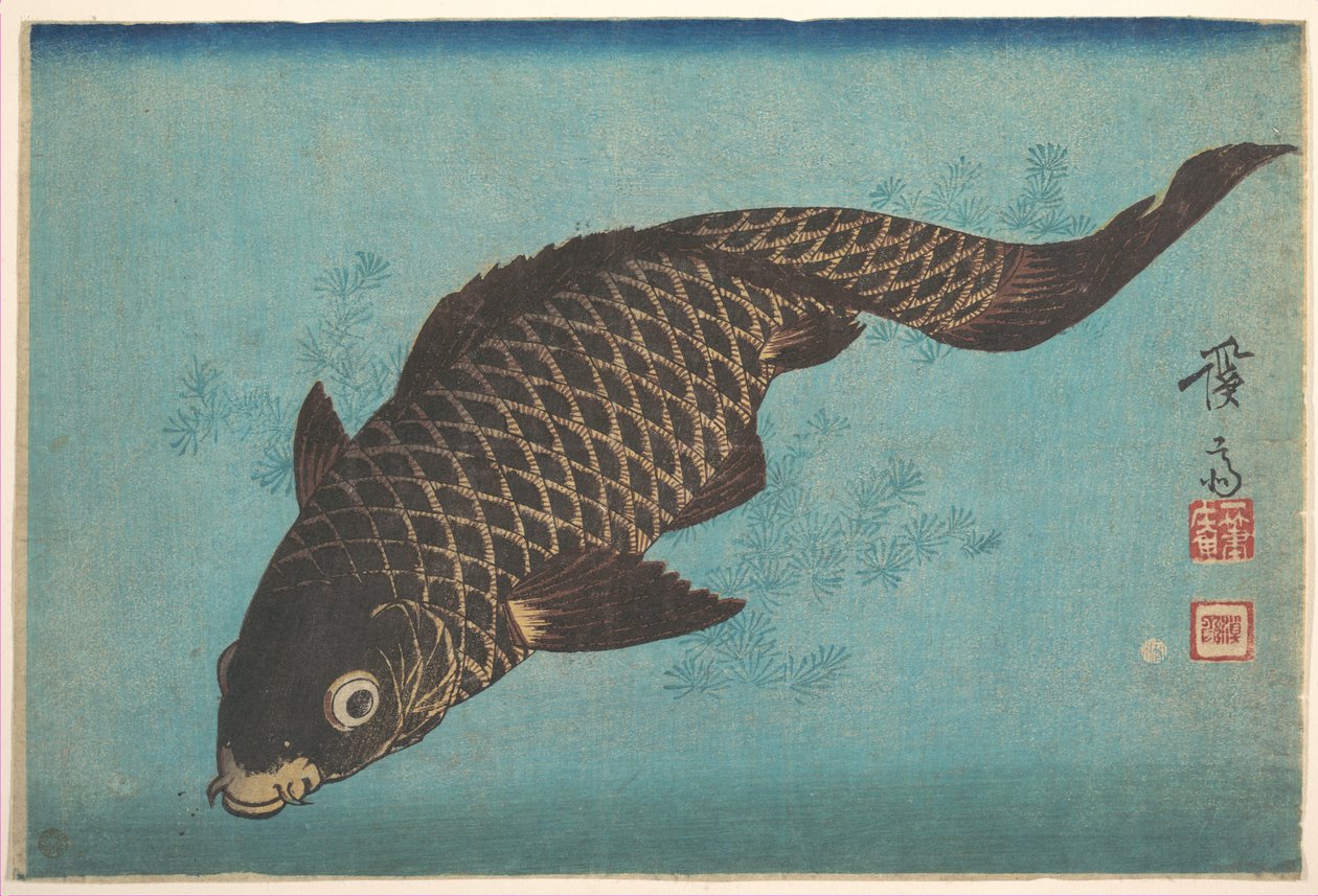 Carpe - Keisai Eisen