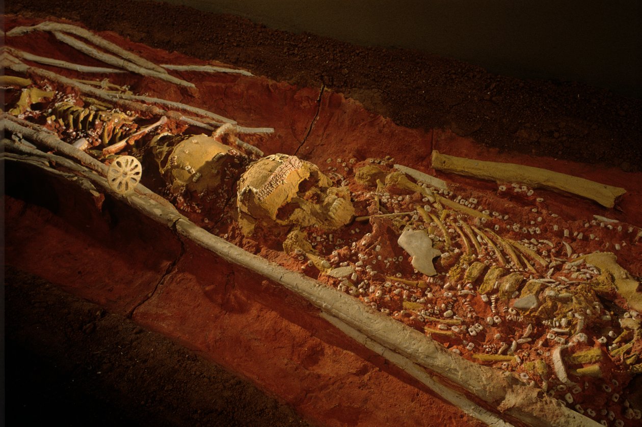 Archéologie; Hominidé; Hominin; Évolution humaine - Homo sapiens sapiens; Évolution humaine; Âge de glace, 2000 (photo) - Kenneth Garrett