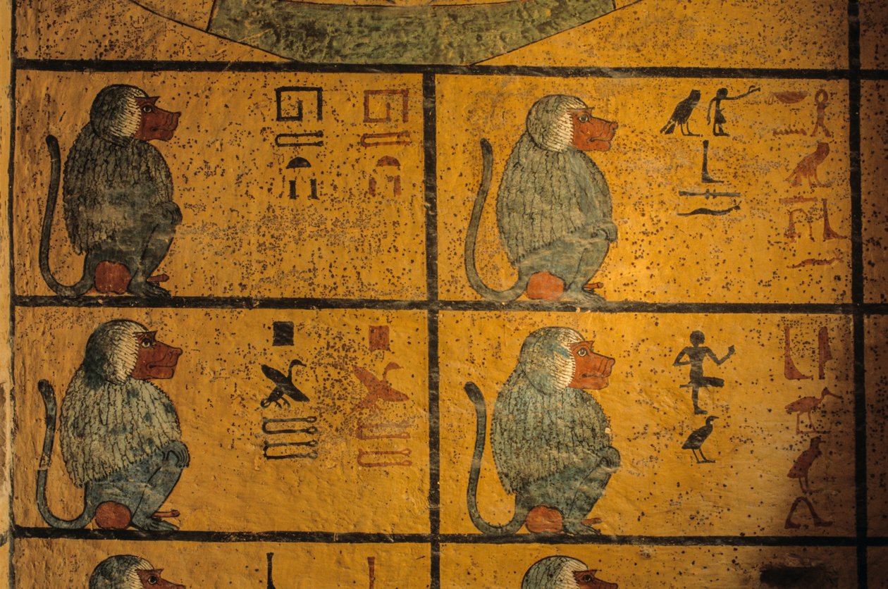 Baboons, peinture murale dans la tombe du roi Toutankhamon; KV52, Vallée des Rois, Thèbes, 2003 - Kenneth Garrett
