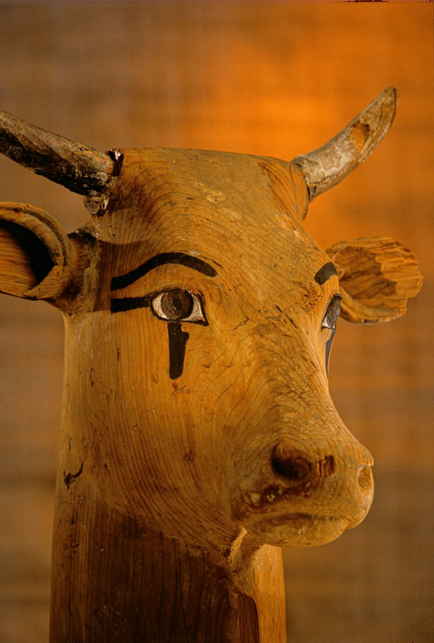Sculpture de tête de vache, KV35; Amenhotep II - Kenneth Garrett