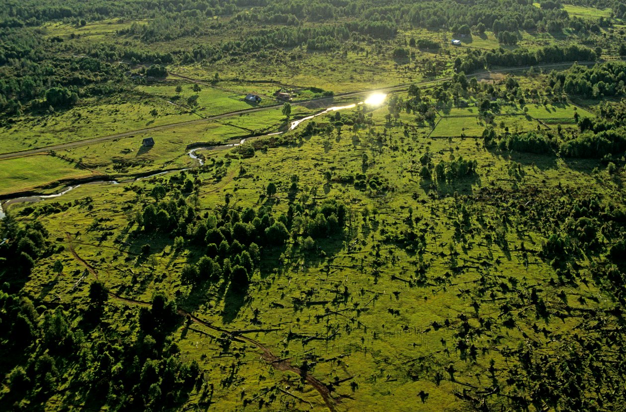 DOH, Les Américains les plus anciens, Chinchihuapi Creek, Maison saisonnière, Chasseurs-cueilleurs, 2008 (photo) - Kenneth Garrett