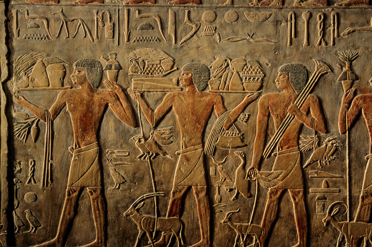 Égypte ; Ancien Empire ; Saqqarah ; Sakkara ; Tombe de Ptah Hotep ; Éternité - Kenneth Garrett