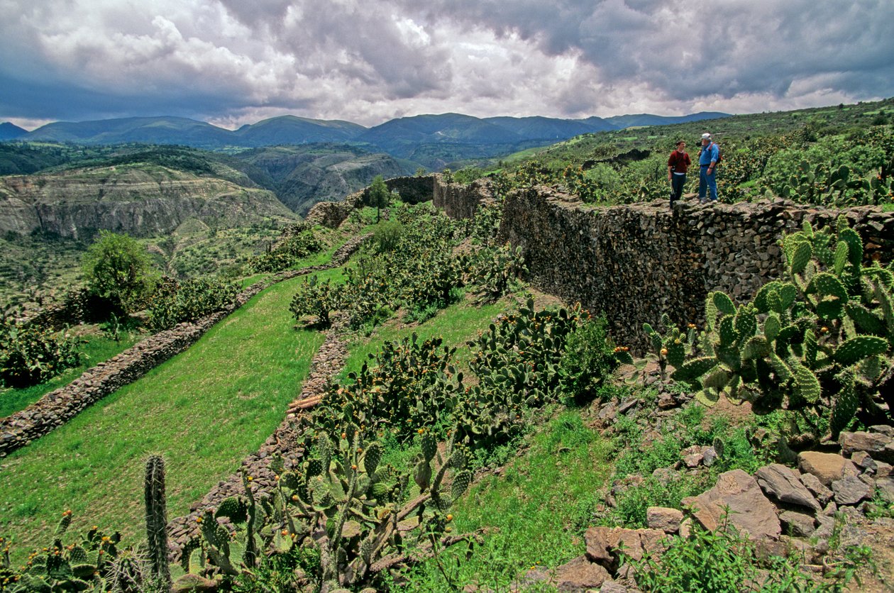 Empires du Soleil, Wari (Huari), Vallée d