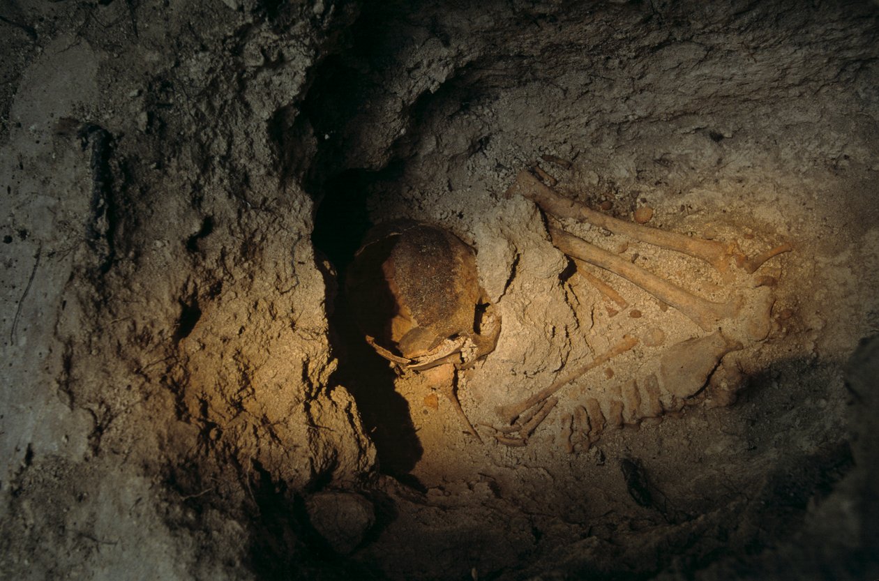 Restes humains, Centre Homul, Holmul, Guatemala, Maya, Francisco Estradabelli - Kenneth Garrett