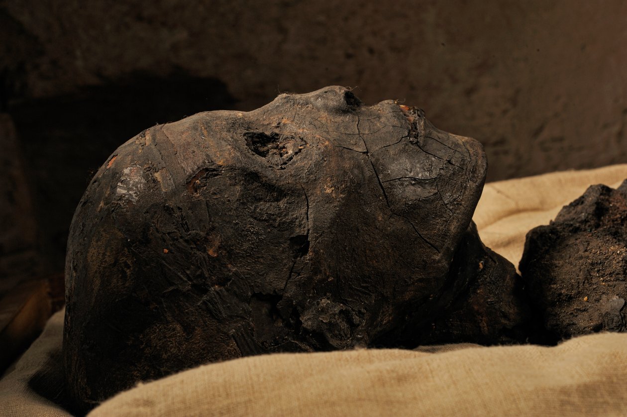 Momie du roi Toutankhamon, 18e dynastie, Nouvel Empire, Musée égyptien, Le Caire, Égypte, 2005 - Kenneth Garrett