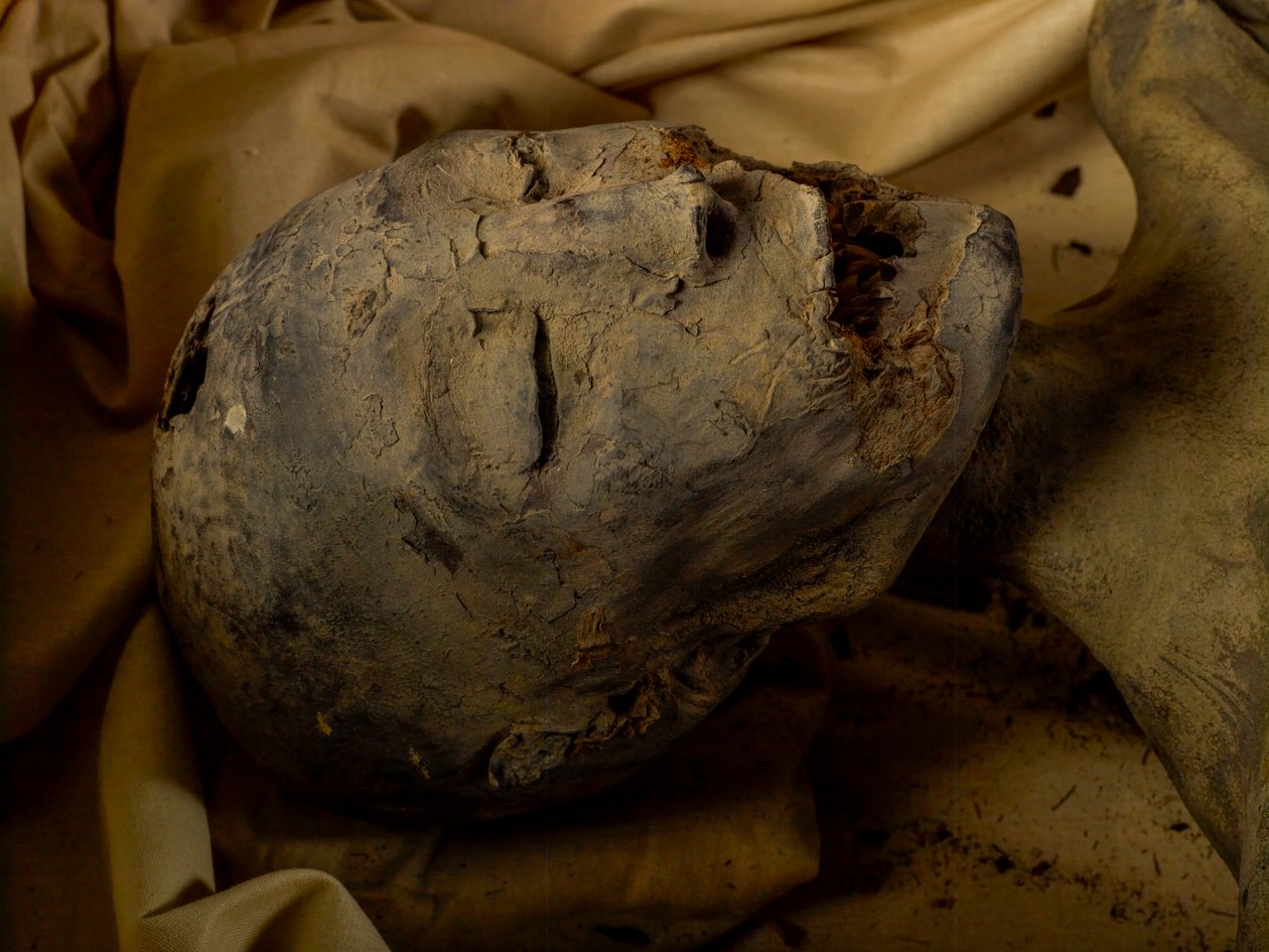Momie de la mère du roi Toutankhamon (connue sous le nom de la Dame Jeune) - Kenneth Garrett