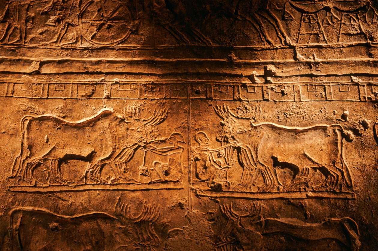 Relief de la tombe de Meryre (Merera), Grand Prêtre d
