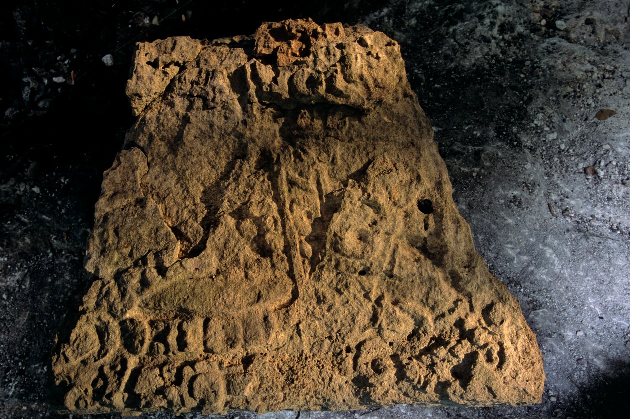Stèle, Sufricaya, Holmul, Guatemala, Maya, Francisco Estradabelli, 2008 (photo) - Kenneth Garrett