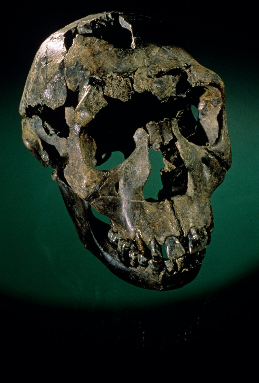 Garçon de Turkana, Kenya, Lac Turkana - Kenneth Garrett