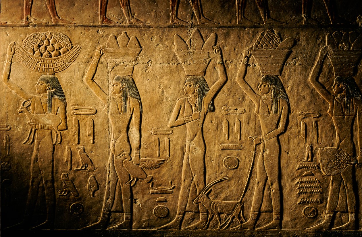 Femmes portant du pain, un oiseau, une chèvre et des produits, tombe de Tiye, Égypte; Ancien Empire; Saqqara - Kenneth Garrett