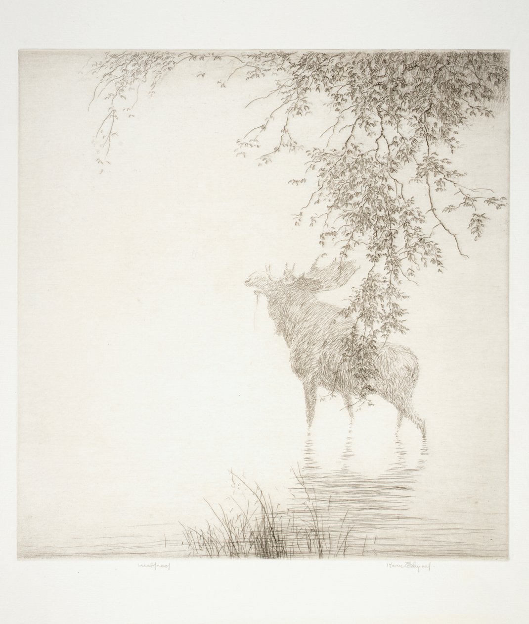 Ombres sur l