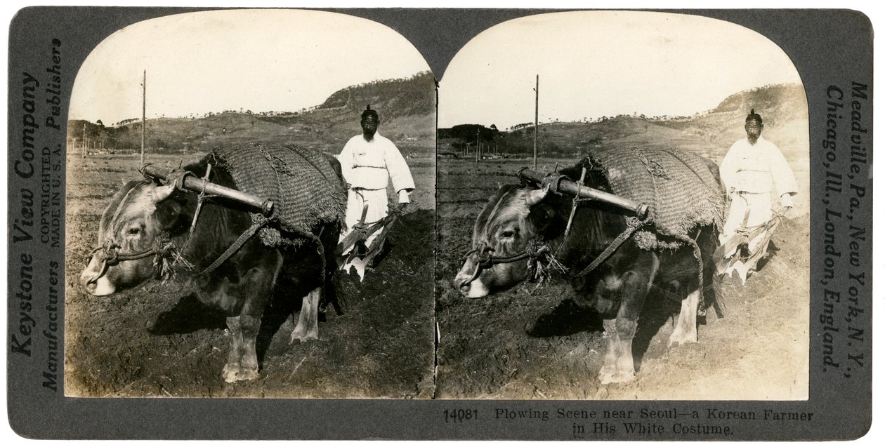 Agriculture près de Séoul, Corée du Sud, années 1900 - Keystone View Company
