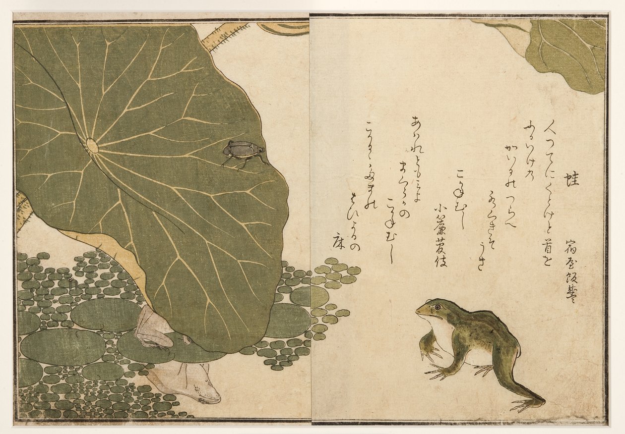 Grenouilles et insecte doré, 1788 | Kitagawa Utamaro