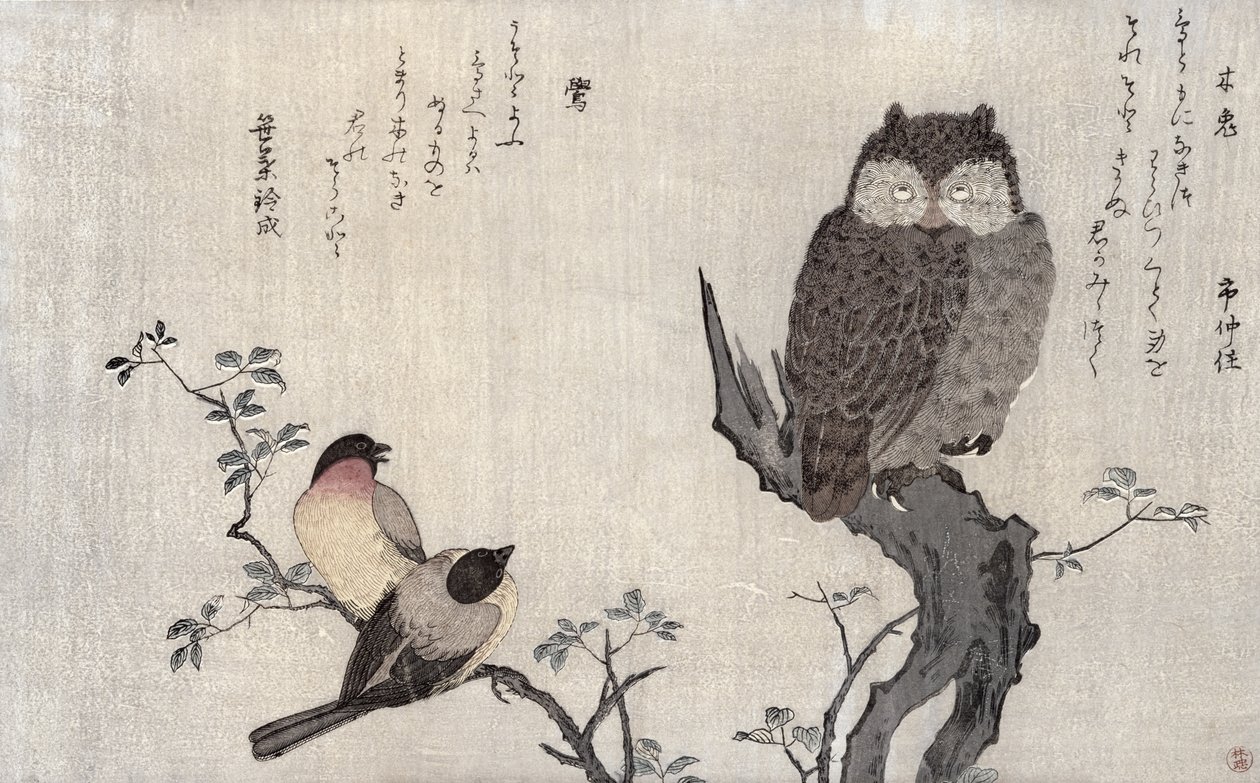 Un hibou et deux bouvreuils orientaux, d