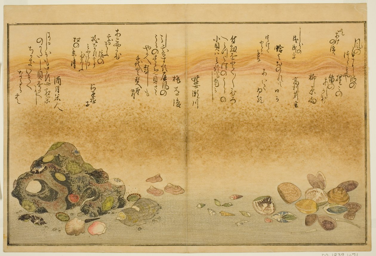 Ashi-gai, hamaguri, ko-gai, suzume-gai, akoya-gai et katashi-gai, du livre illustré "Cadeaux de la marée descendante (Shiohi no tsuto)" - Kitagawa Utamaro