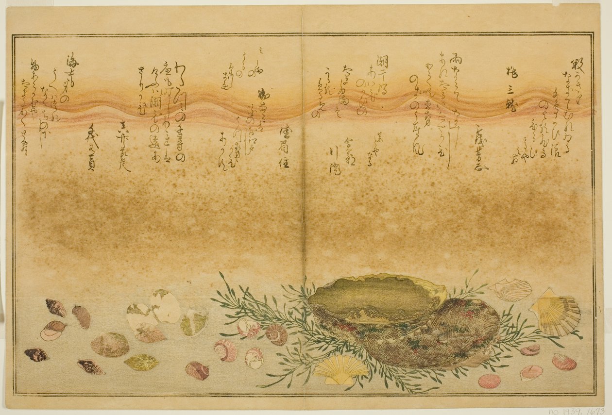 Chidori-gai, itaya-gai, awabi, utsuse-gai, asari-gai, et monoara-gai, du livre illustré "Cadeaux de la marée basse (Shiohi no tsuto)" - Kitagawa Utamaro