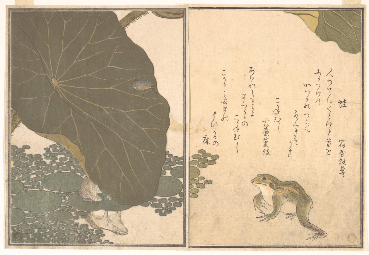 Grenouille (Kaeru) ; scarabée doré (Kogane mushi), du Livre illustré des créatures rampantes (Ehon mushi erami) - Kitagawa Utamaro
